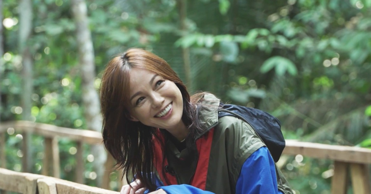 JICAトピックス：相川七瀬さんがアマゾン違法森林伐採現場で見たものと