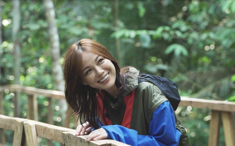 相川 JICAトピックス：相川七瀬さんがアマゾン違法森林伐採現場で見たものと