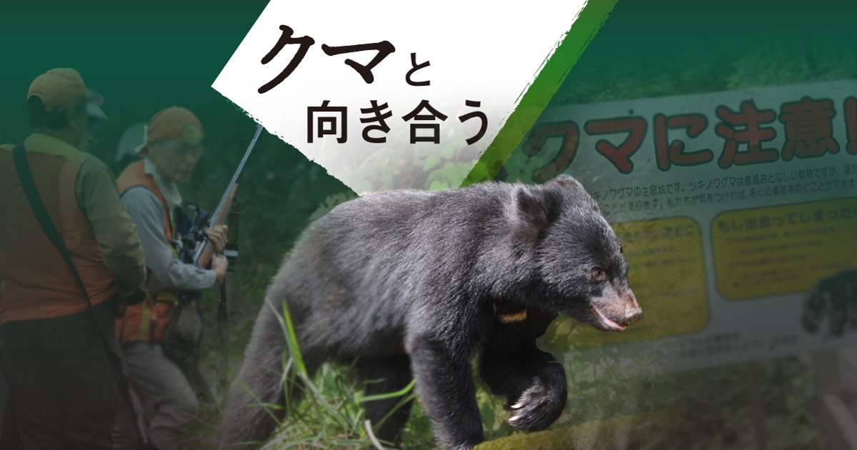 クマと向き合う | 毎日新聞