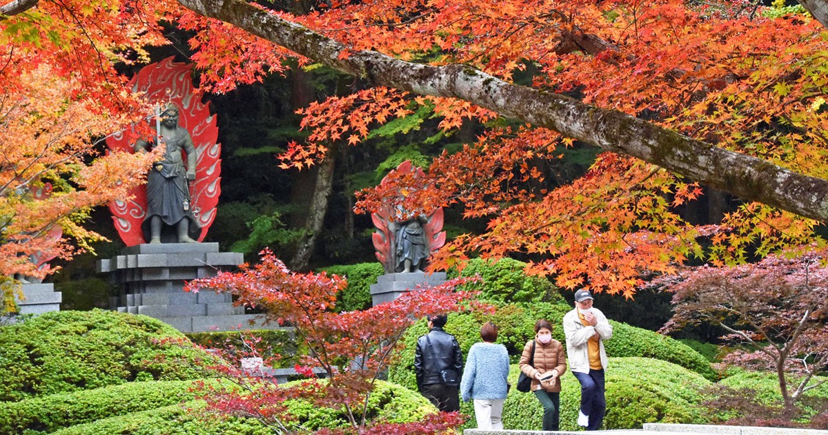 英彦山で紅葉見ごろ 1週間ほど遅め、20日ごろまで 福岡・大分 | 毎日新聞