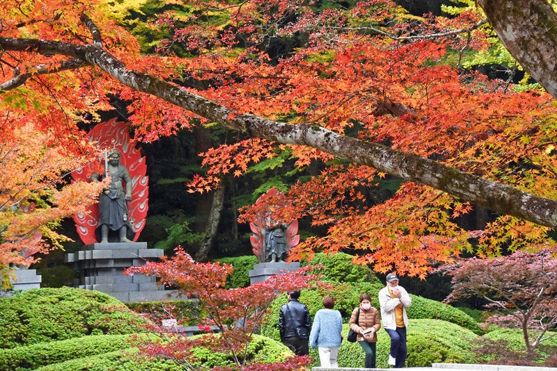 英彦山で紅葉見ごろ 1週間ほど遅め、20日ごろまで 福岡・大分 | 毎日新聞