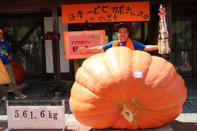 1日15kg成長するカボチャ 「地球最大の野菜作り」に情熱注ぐ生産者