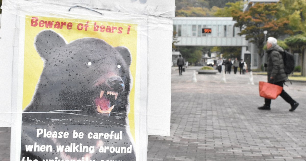 Unprecedented bear activity in Japan puts famous autumn foliage spots on high alert