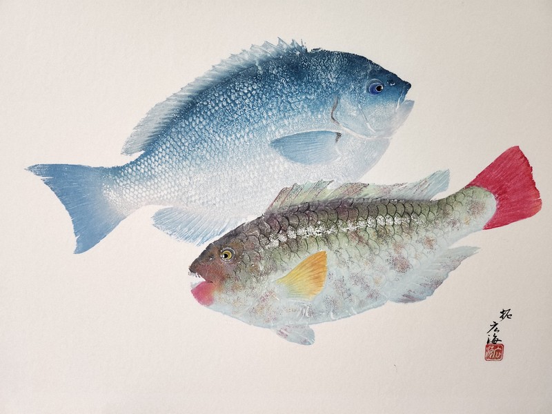 実は一発勝負の「アート魚拓」 森内広海さん「質感伝わるよう」 | 毎日新聞