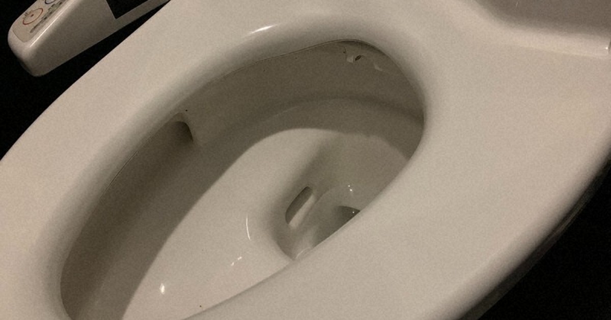 Japan gov't acts as women's toilets at stations total only 63% of men's