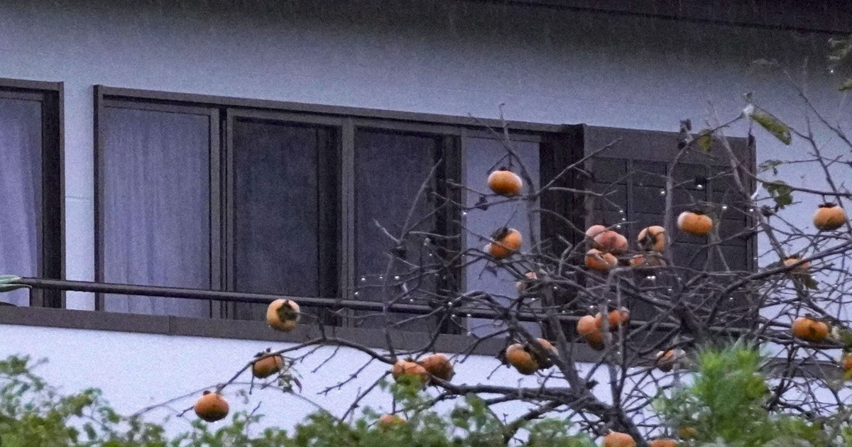 Mother suspected of murder after daughter's body found in freezer in Japan