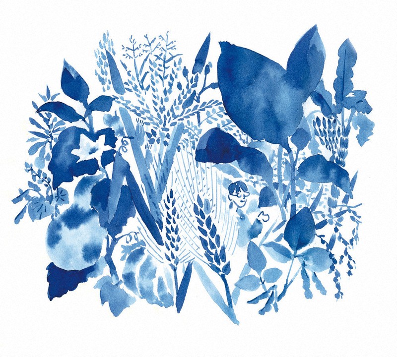 今週の本棚・なつかしい一冊：藤井一至・選 『栽培植物と農耕の起源