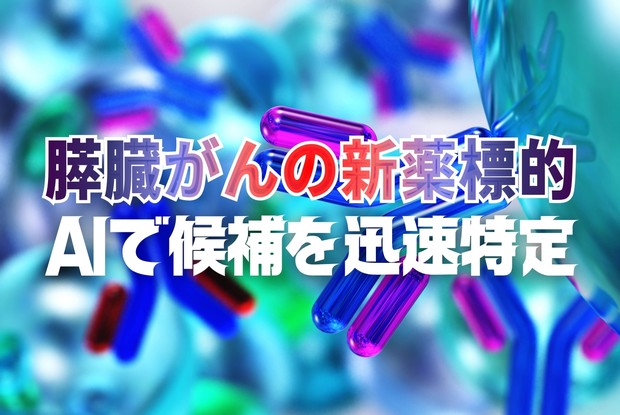 免疫治療最前線：すい臓がんの新薬標的候補 AI使い2日で特定 伊藤