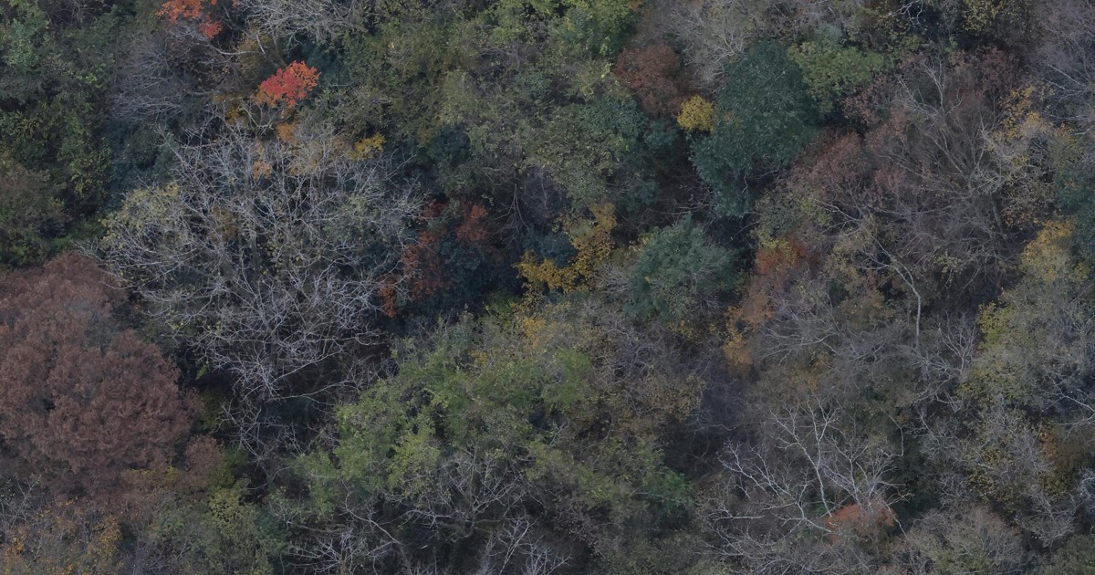 福岡・八女の小型機墜落、乗員とみられる3人を心肺停止状態で発見