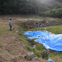 石垣に囲まれた「枡形土橋」の遺構（奥）。手前のくぼ地は堀の可能性が高いという＝唐津市鎮西町で2025年11月4日午後3時45分、石川貴教撮影