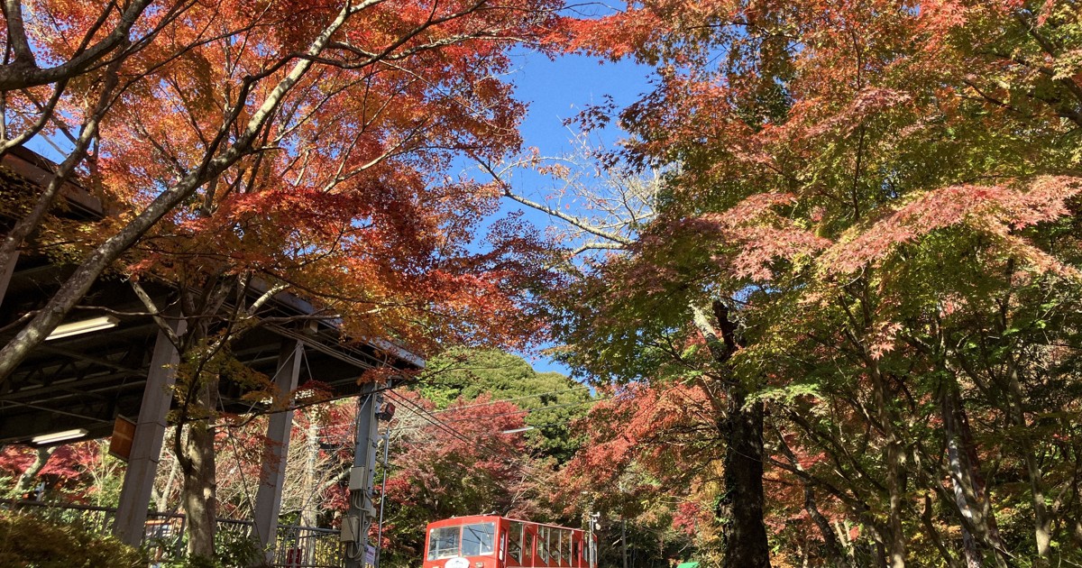 錦秋の筑波山を走るケーブルカー 開業100周年、記念事業も | 毎日新聞