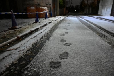 ヒグマの出没情報があった地点から、小さな川を挟んで約300メートル離れた住宅街の路上に残るヒグマの足跡＝札幌市中央区で2025年11月10日午後9時3分、宮間俊樹撮影