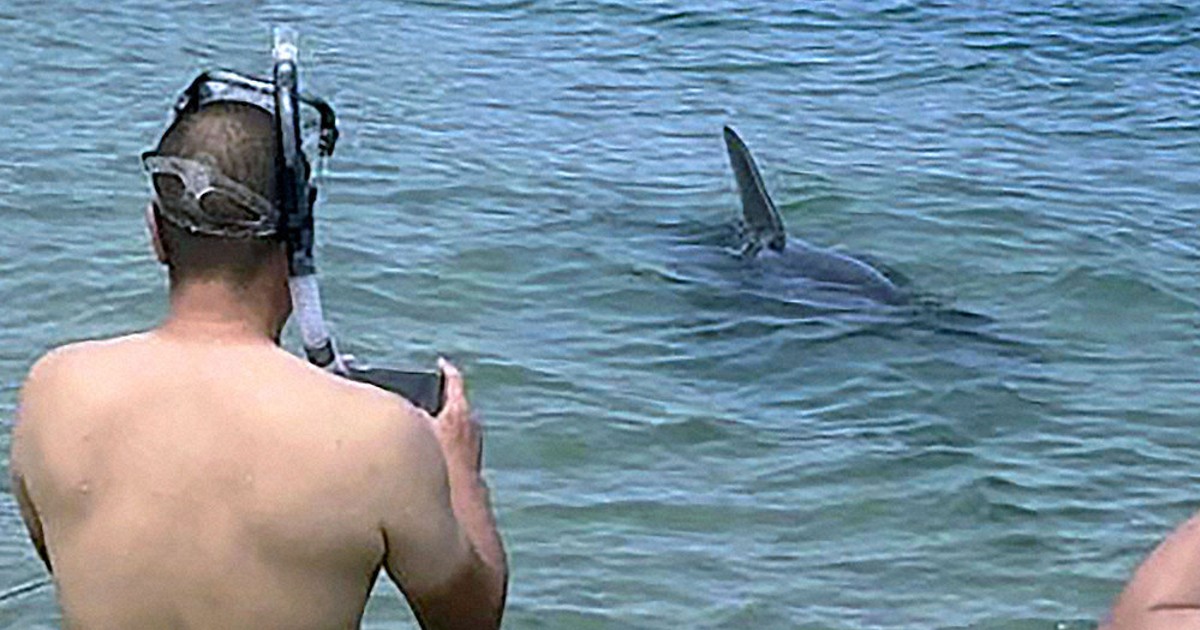 近づかない、触らない、餌をあげない 「適切な関係で防げた」 かみつき