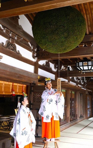 酒造り成功祈る、大杉玉掛け替え 桜井・大神神社で作業 ／奈良 | 毎日新聞