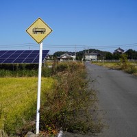 鹿島鉄道が廃線になった今も残る、踏切を知らせる道路標識＝茨城県内で2025年11月12日午後0時7分、後藤豪撮影