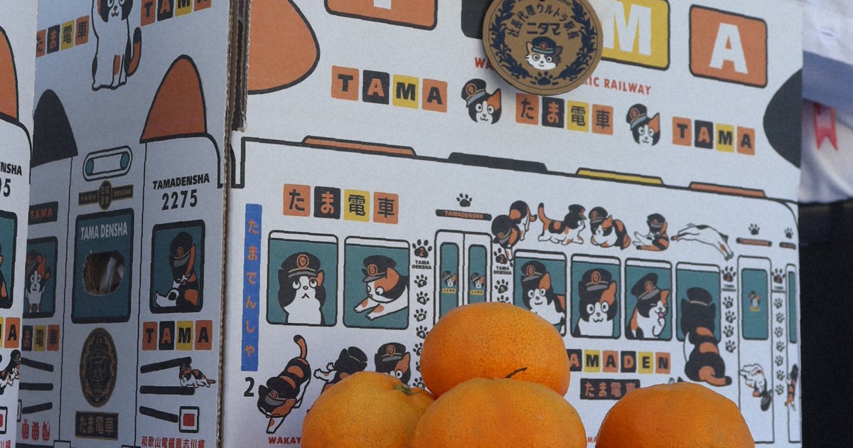 和歌山電鉄2代目猫駅長「ニタマ」死ぬ　ローカル線PRに貢献