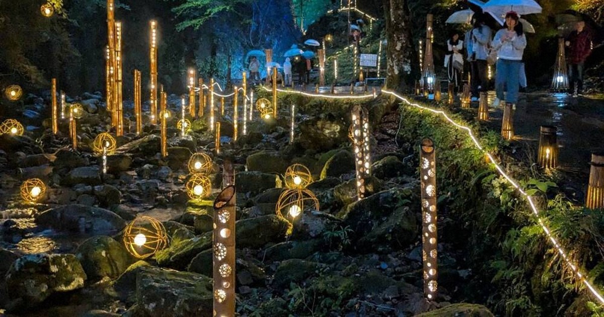 主役は「滝」 映える空間へ 赤目・竹あかり 演出を刷新 浮かび上がる