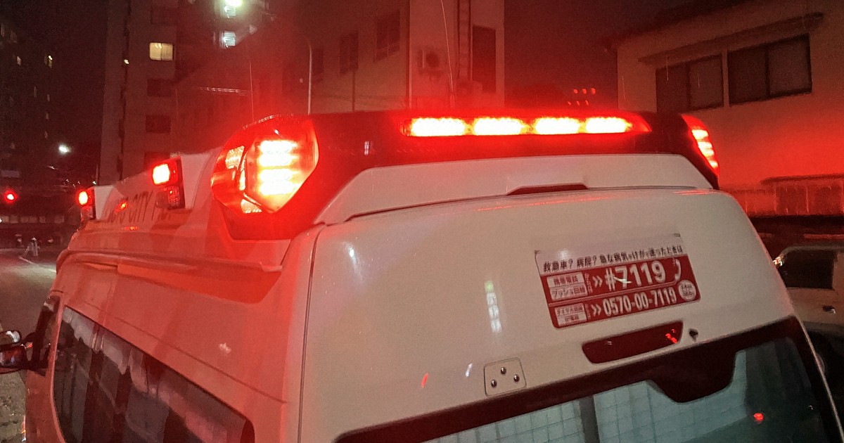 Worker from Thailand dies at zoo in Japan's Chiba Pref., likely crushed by elephant