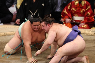 関脇・安青錦が初優勝、ウクライナ出身力士で初V　大相撲九州場所