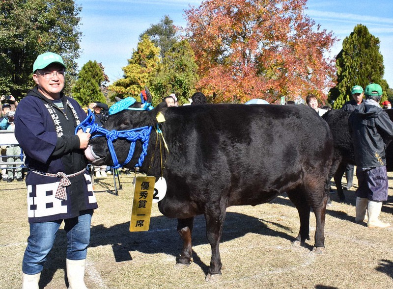 写真】過去最高5259万円で落札 特産松阪牛の女王に「かずみ」 [写真