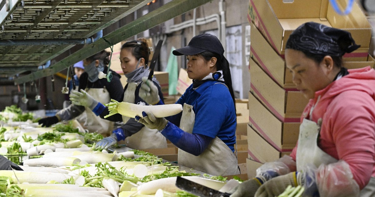 Foreign population in 10 Japan prefectures more than doubles in decade