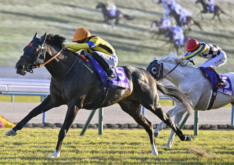 競馬：競馬 マイルCS ジャンタルマンタルV | 毎日新聞