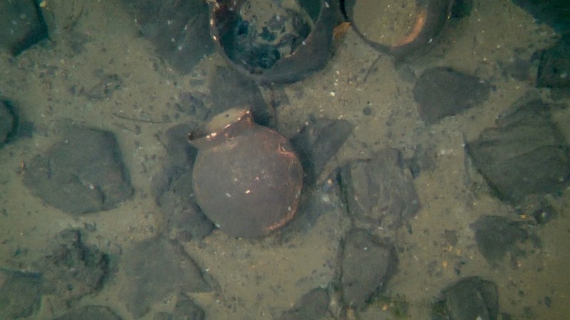 琵琶湖の底からほぼ完全な縄文土器 1万年超前のものか 葛籠尾崎 | 毎日新聞