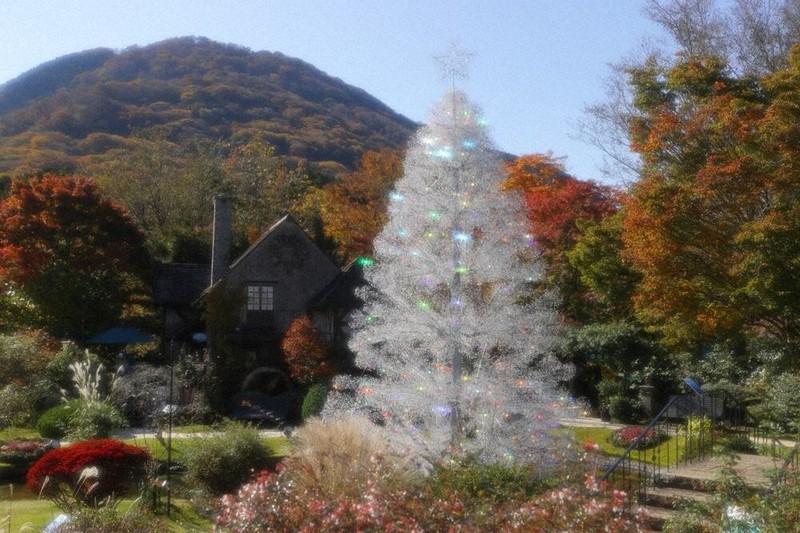 クリスタル葡萄ツリー 社告：クリスタル15万粒、輝くツリー登場 箱根ガラスの森美術館 ／東京