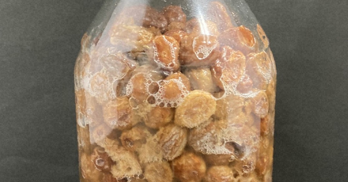 Japan research team suggests ancient wine was made from sun-dried raisins