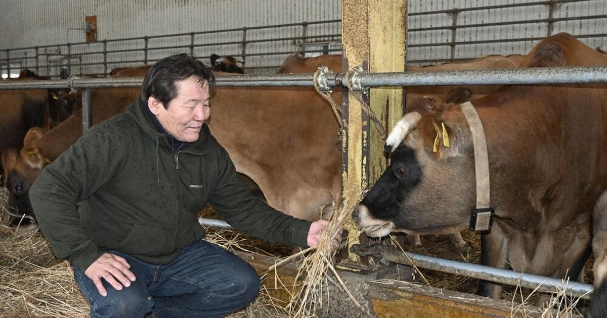 牧場主 持続可能な牧場経営を 美瑛「ファームズ千代田」継いだ、モンゴル出身