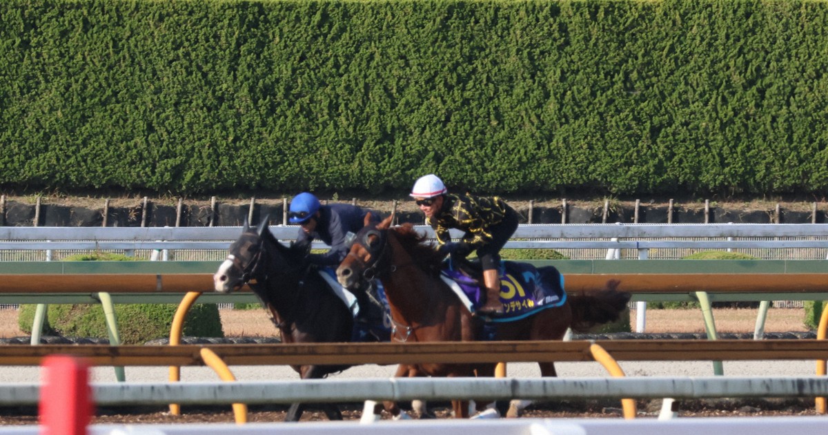 相棒は双眼鏡:JCで推したいダービー馬　潜在能力はワールドクラス＝井内利彰さん