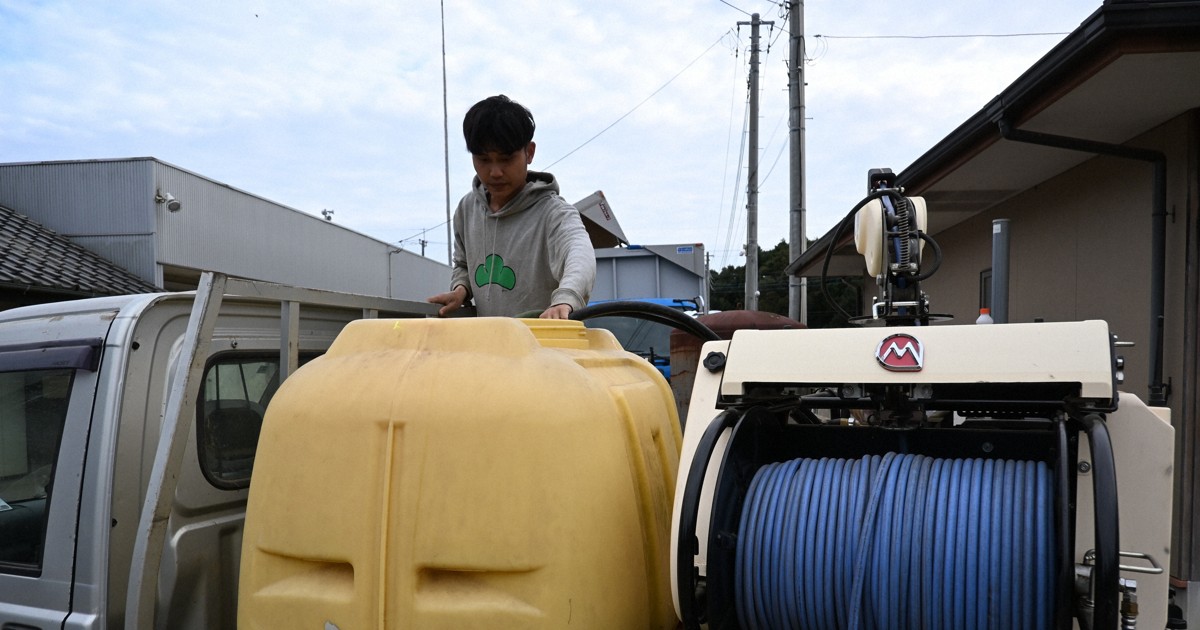 Farms struggling to attract Japanese workers, utilizing 'unauthorized' foreign labor