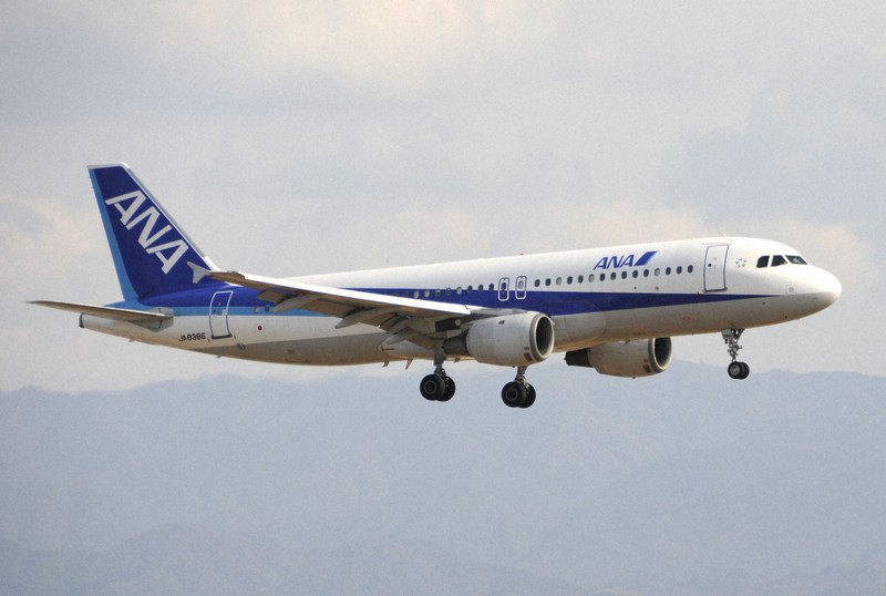 全日空65便が欠航 エアバス「A320」ソフトウエア不備改修受け | 毎日新聞