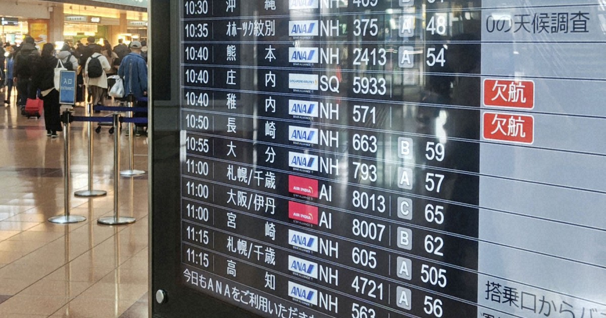 ANA cancels 95 domestic flights due to Airbus software problem