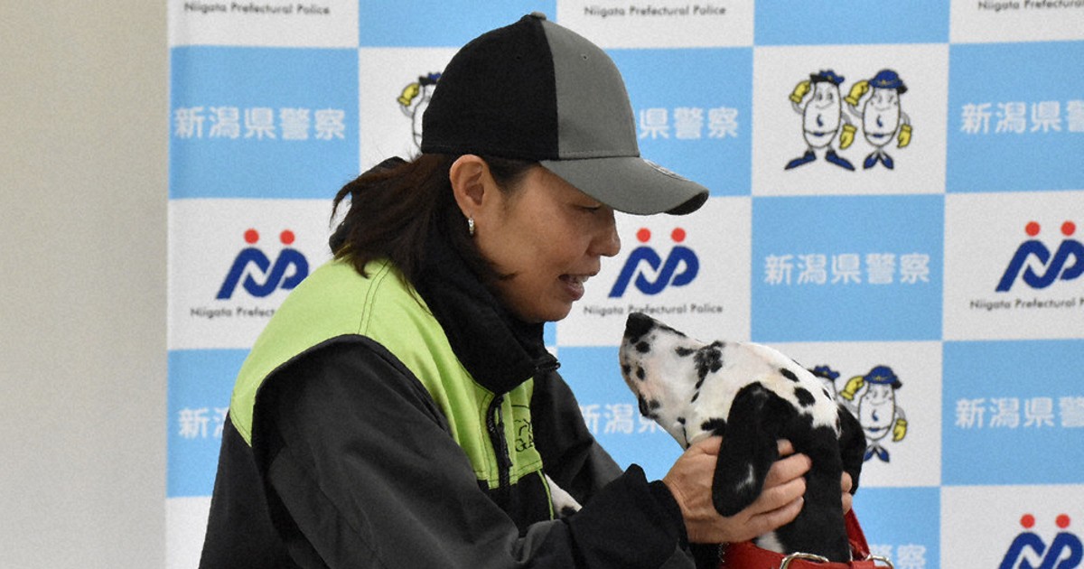みんなの安全守るよ 県内初、ダルメシアンの警察犬誕生 「先輩」と一緒