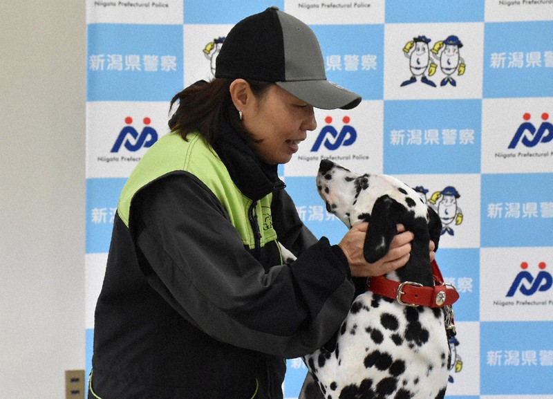 みんなの安全守るよ 県内初、ダルメシアンの警察犬誕生 「先輩」と一緒