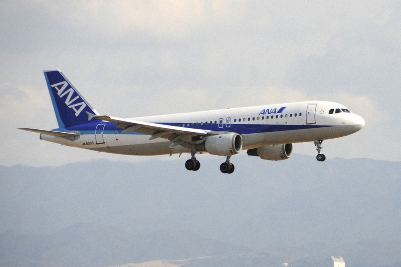 全日空、通常運行に エアバス機不具合の改修作業終え | 毎日新聞