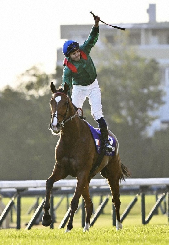 競馬：競馬 ジャパンカップ 仏・カランダガン、制す レコード決着