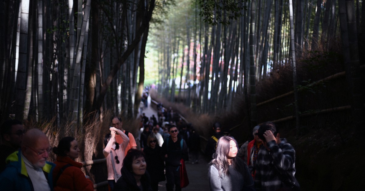 「ブレーキ利くか分からぬまま…」　政府の観光公害対策に疑問の声も