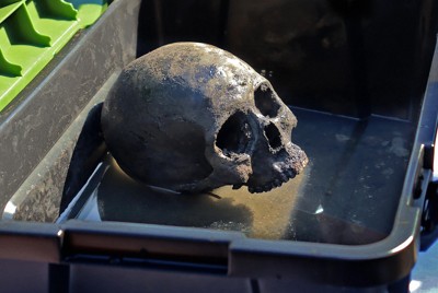 A skull recovered from the Chosei coal mine is seen at Tokonami Beach in Ube, Yamaguchi Prefecture, in August 2025. (Mainichi/Yuna Ozawa)