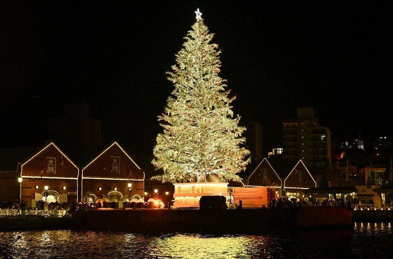 ツリー点灯に歓声 函館・赤レンガ倉庫 ／北海道 | 毎日新聞