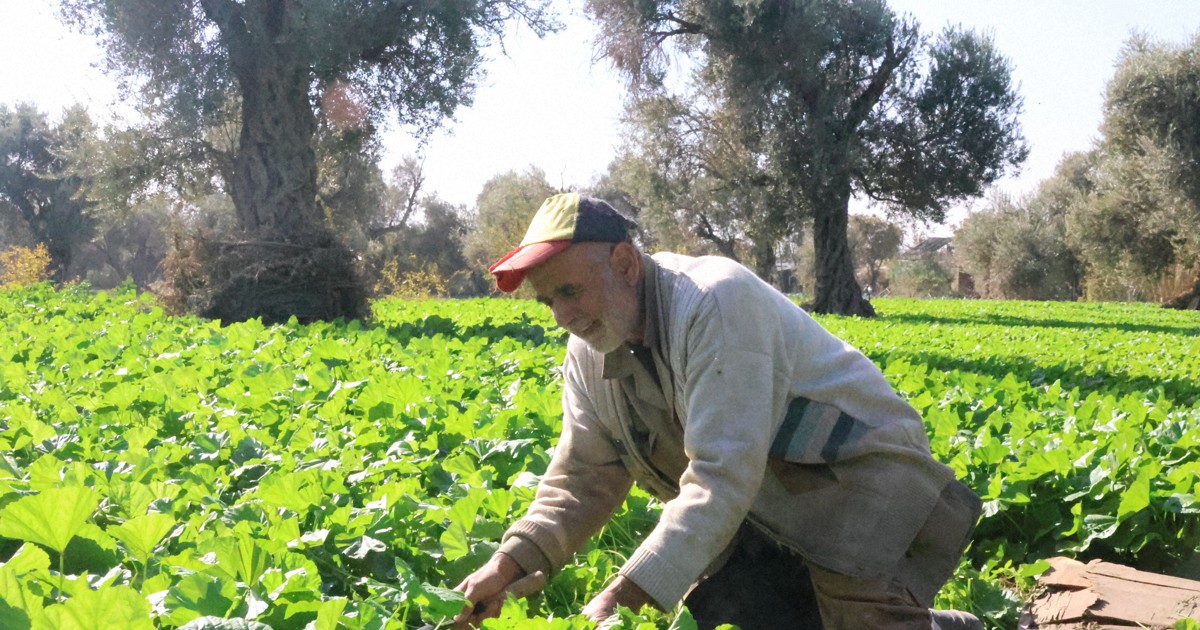 「干ばつだけではない」　復興急ぐシリア、水不足に苦しむ意外な理由