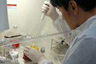 ベンヌの試料から糖を抽出する様子＝東北大・古川善博准教授提供