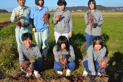 サツマイモの「太白」「おいらん」を収穫した島根県立松江農林高の曽田稔教諭（後列左）と3年生たち＝同県大田市久手町波根西で、村瀬達男撮影
