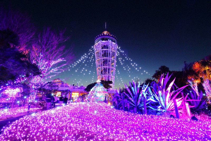 日本夜景サミット 江の島の輝き初選出 「湘南の宝石」三大イルミに