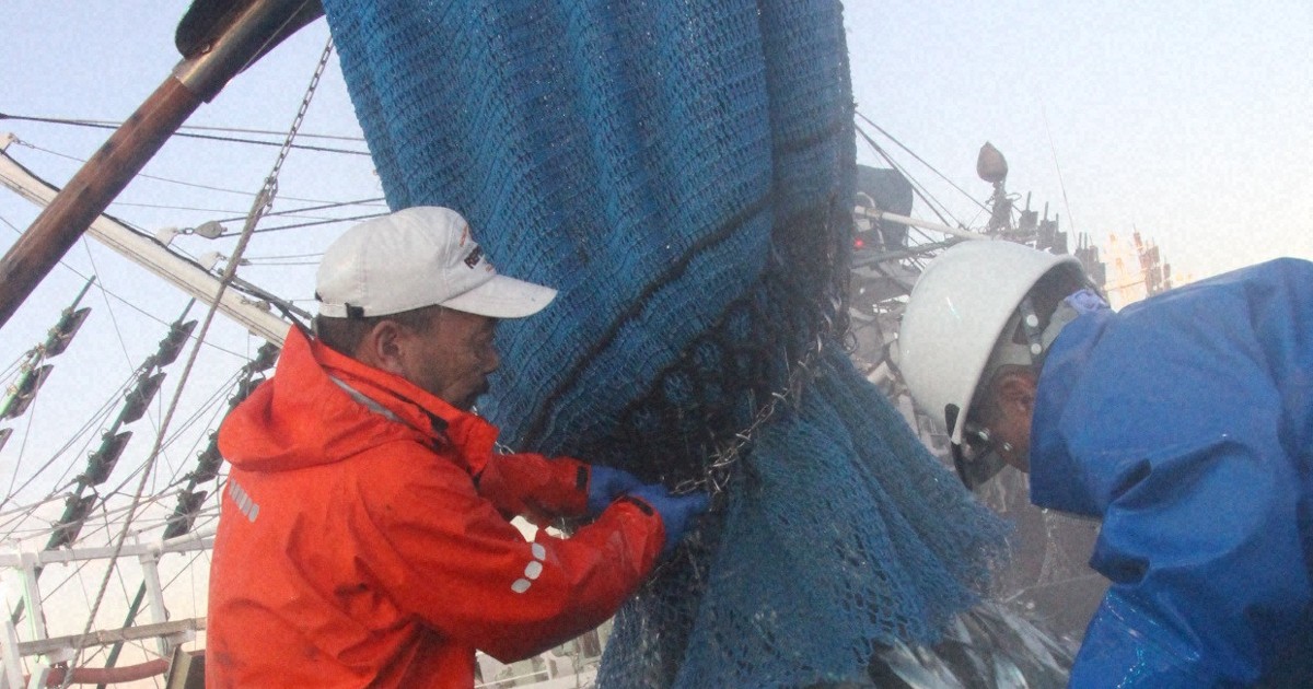 サンマ、7年ぶり6万トン超　水揚げ金額は200億円の大台乗る