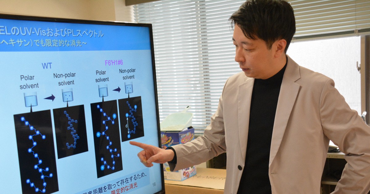 発光バイオ素材を樹木で スマート材料へ応用期待 愛媛大大学院など