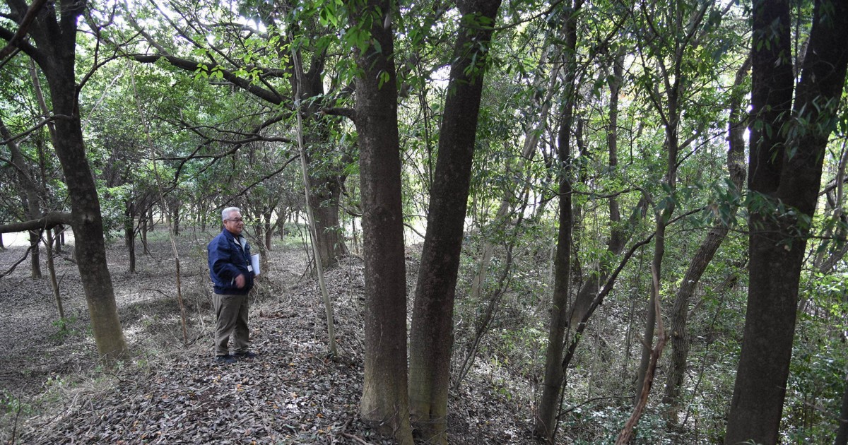 つくばに残る飛行場と特攻隊の記憶　谷田部海軍航空基地を訪ねた