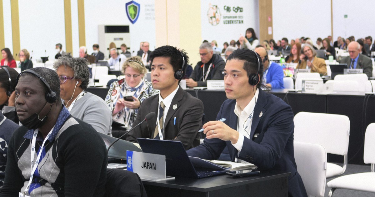 Parties to int'l treaty formally reject proposed trade curbs on all eels