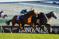 ＜東京12R・ジャパンC＞レースを制したバルザローナ騎乗のカランダガン（撮影・河野　光希）